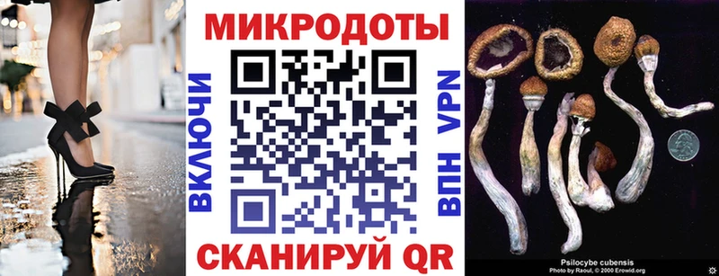 Галлюциногенные грибы Cubensis где купить наркоту Адыгейск